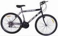 /album/fotogaleria/bici1-jpg/