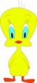 /album/fotogaleria/piolin2-jpg/